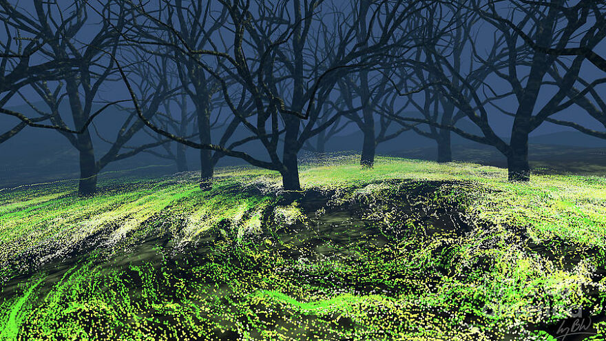 Letting The Forest Find Me #1