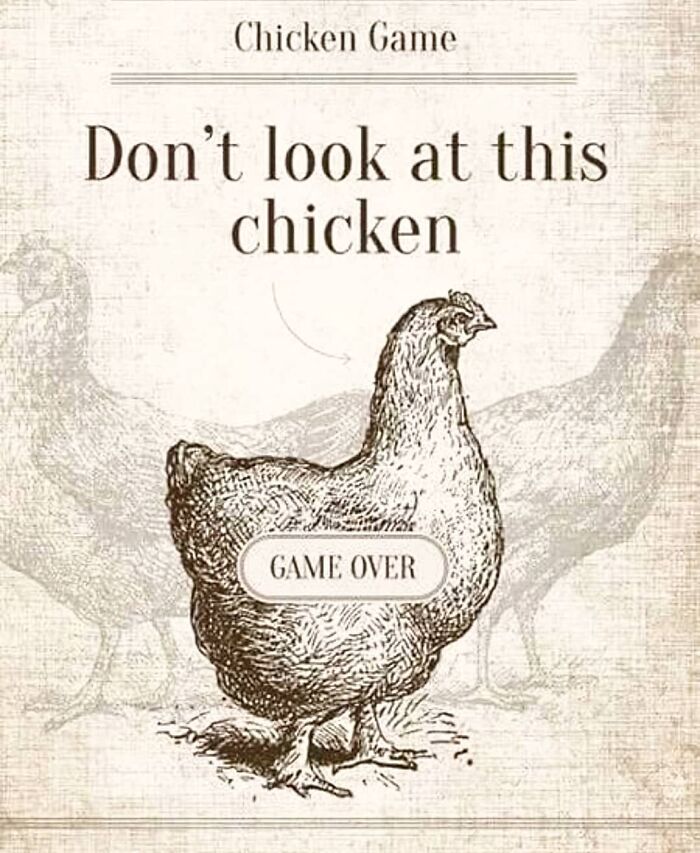 Don't Look At This Chicken.