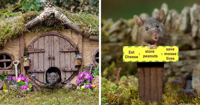https://static.boredpanda.com/blog/wp-content/uploads/2021/05/miniature-wild-mice-houses-hobbit-lotr-georgethemouseinalogpilehouse-fb17-png__700.jpg