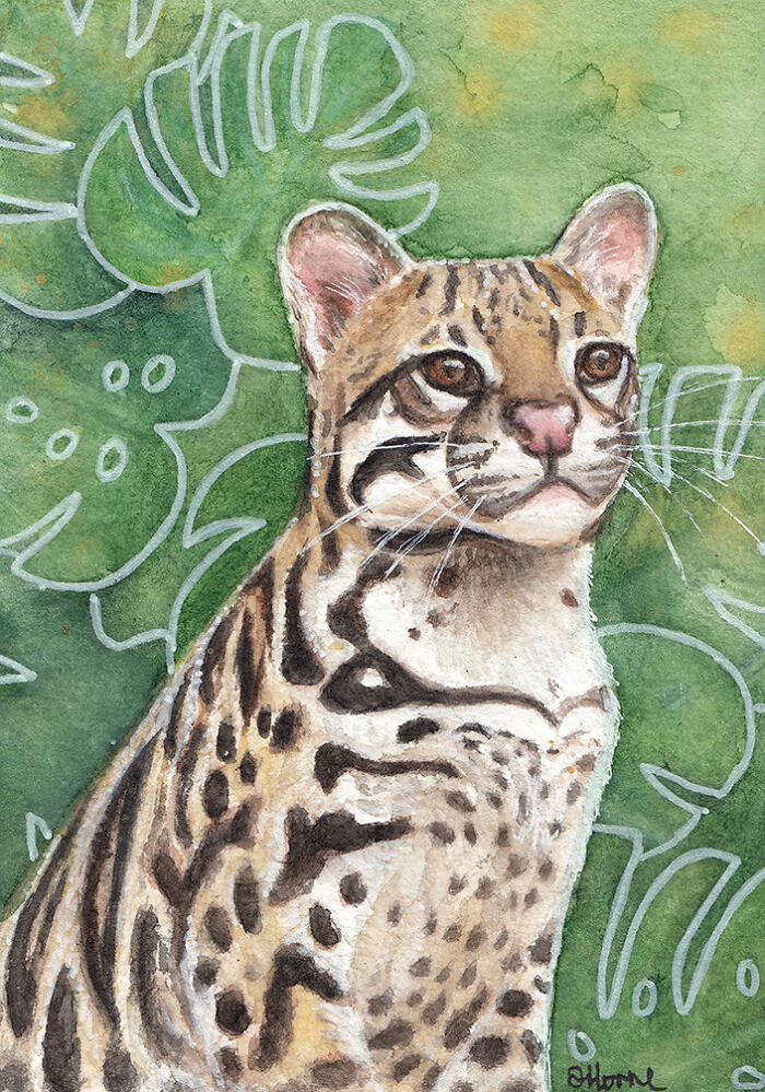 This Ocelot I Painted