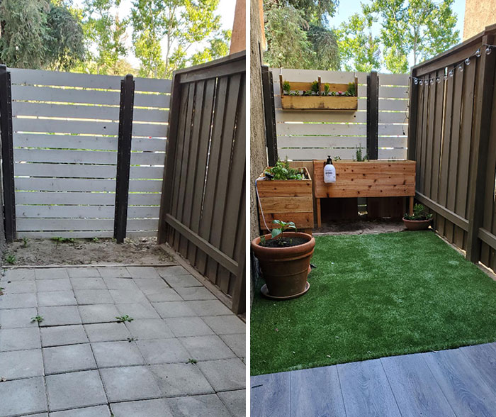 Moved Into A New Apartment Before Quarantine Started, Gave Us Some Time To Upgrade Our Side Yard