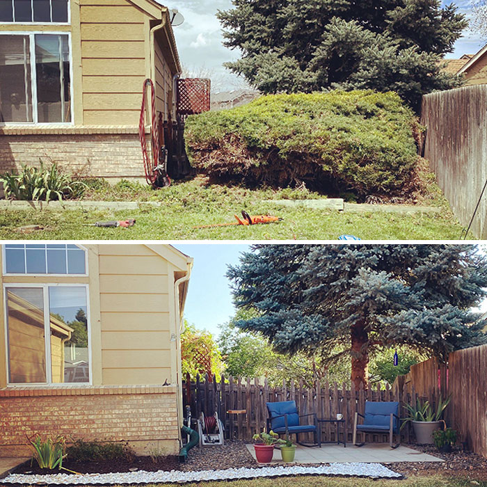 Before And After Of My Quarantine Project. Juniper Be Gone