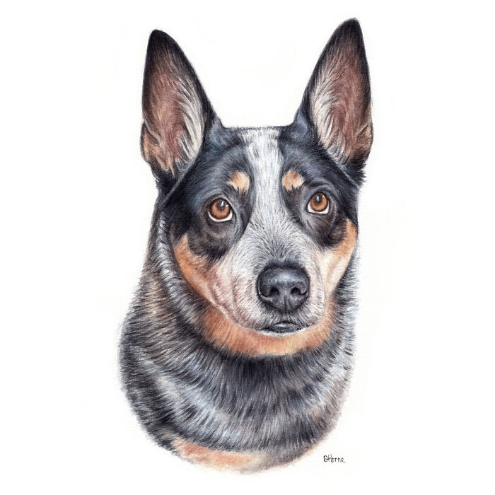 I Paint Watercolour Pet Portraits