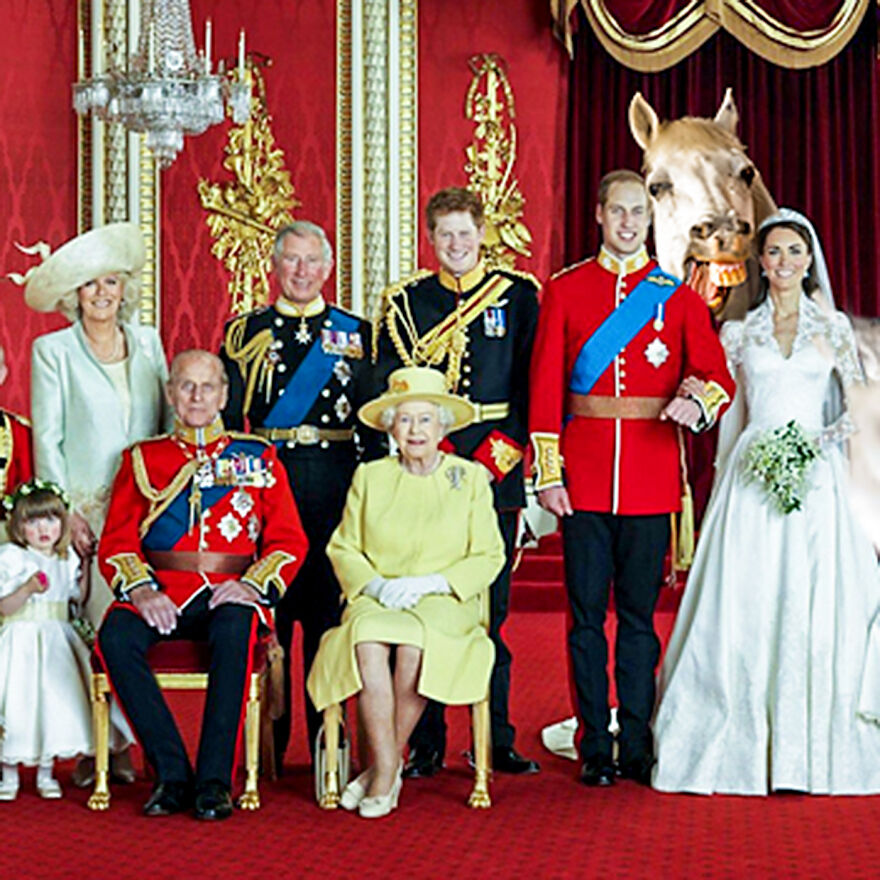 Oh Hey! We Recognize That Horse Form Prince William & Kate's Royal Wedding!
