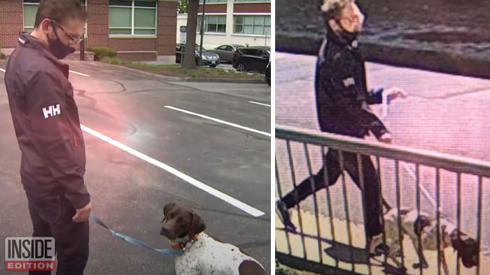 Esta reportera informaba sobre un cachorro robado cuando lo vio en la calle, siendo paseado por quien lo robó