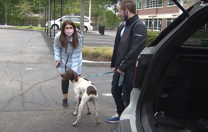 News Anchor Reporting On A Stolen Puppy Sees The Same Dog In The Street, Realizes It’s The Kidnapper Walking Him