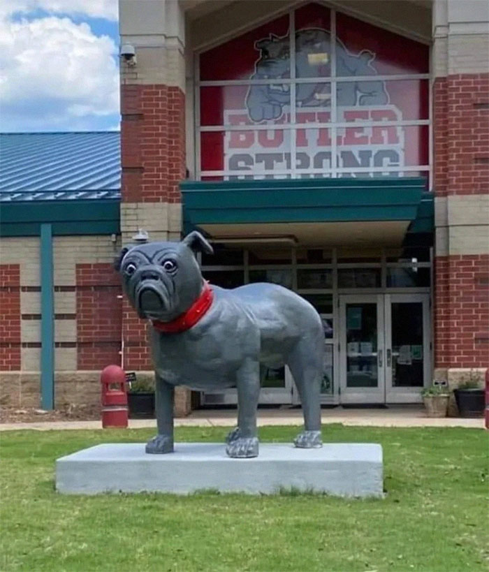 Mi escuela secundaria encargó una estatua de un bulldog. Este es el resultado