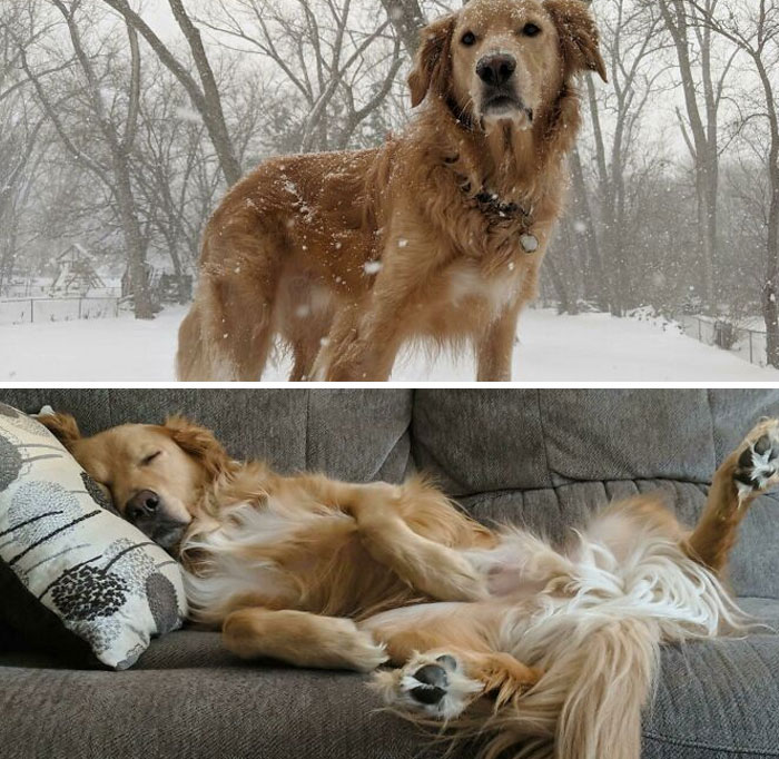 Antes y después de jugar en la nieve