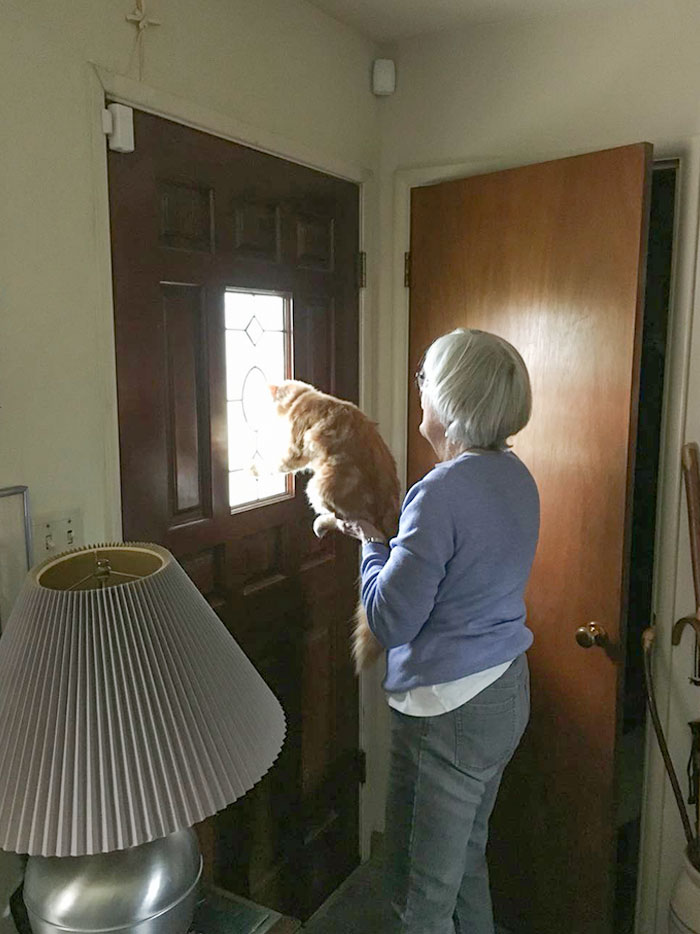 My Grandma Showing Her Cat How Bad The Weather Is