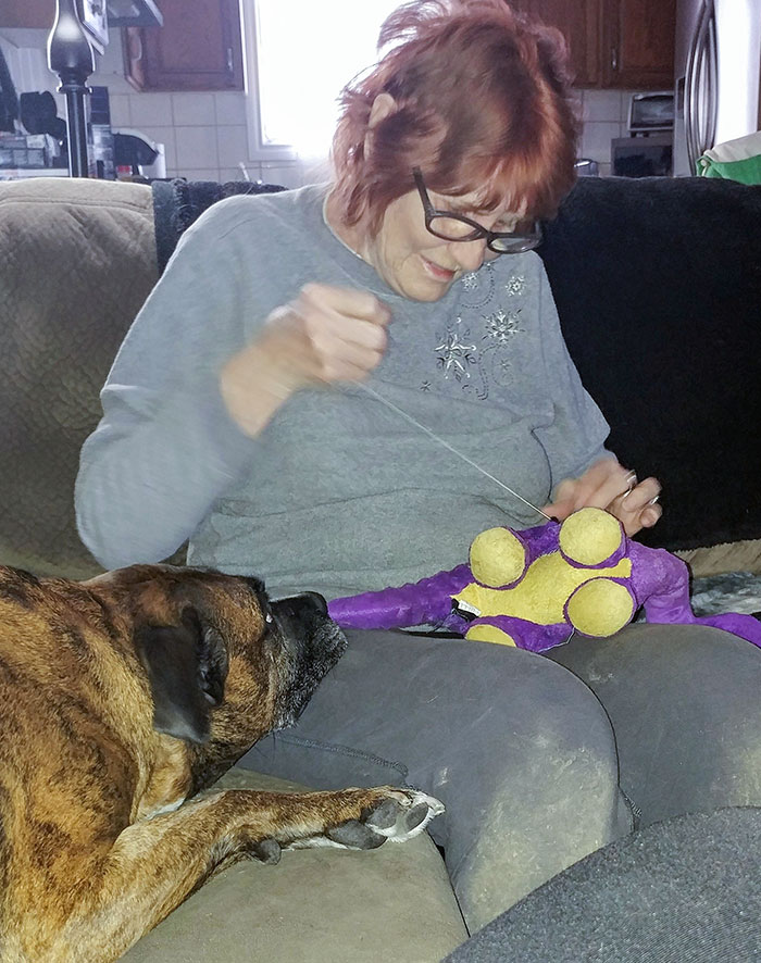 My 7-Year-Old Girl That I Rescued 4 Years Ago Waiting Ever So Patiently For My 79-Year-Old Grandma To Fix One Of Her Favorite Toys
