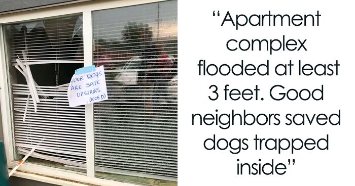 50 Times Neighbors Acted So Wholesomely, It Restored These People’s Faith In Humanity
