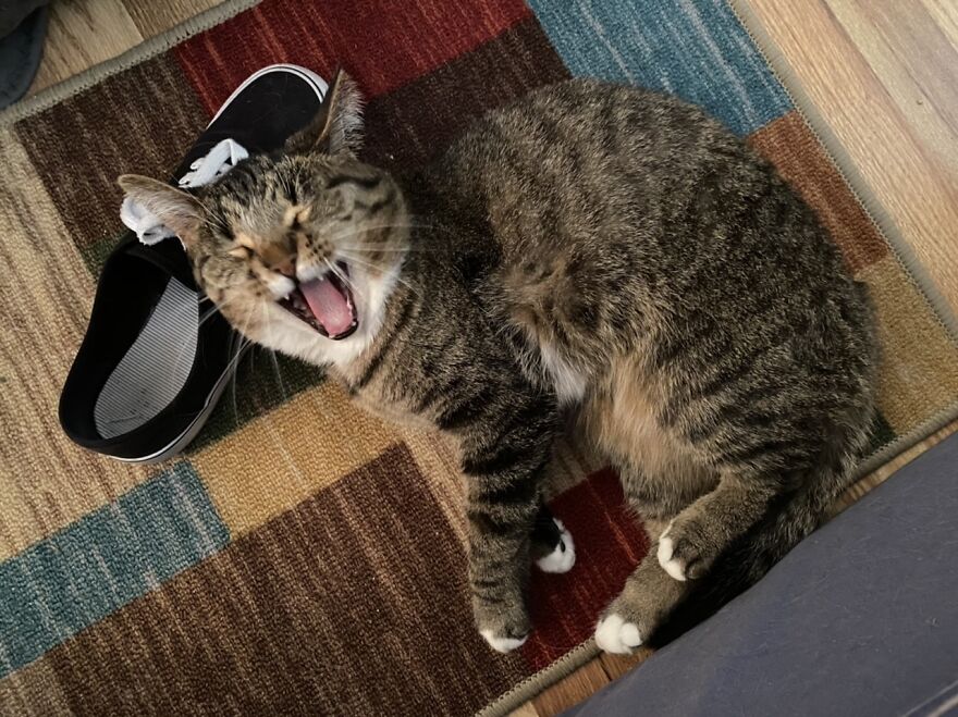 Apparently That Shoe Is Hilarious