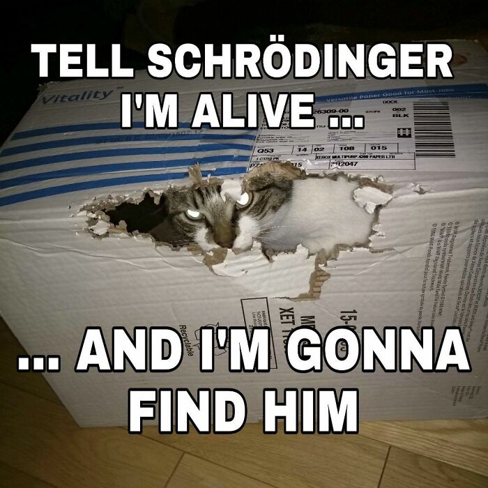 Watch Out Schrodinger......