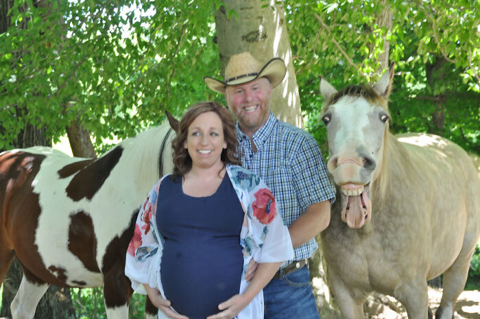 Este divertido caballo se coló en una sesión de fotos de embarazo mostrando su sonrisa más contagiosa y se hizo viral