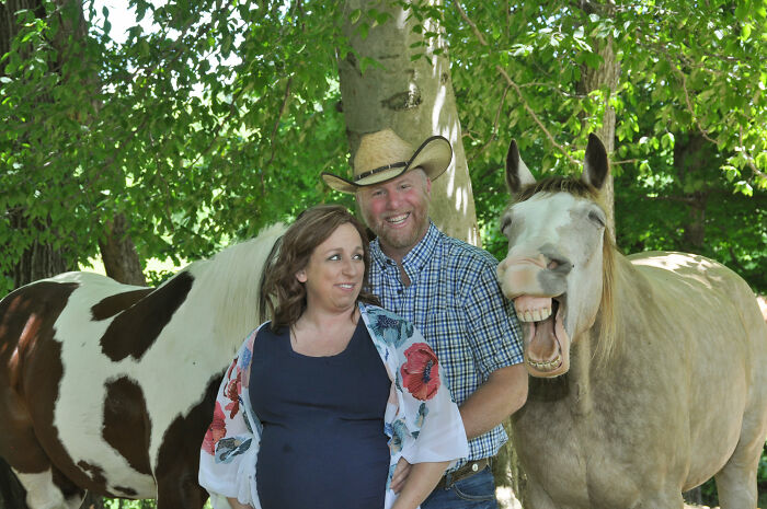 Este divertido caballo se coló en una sesión de fotos de embarazo mostrando su sonrisa más contagiosa y se hizo viral