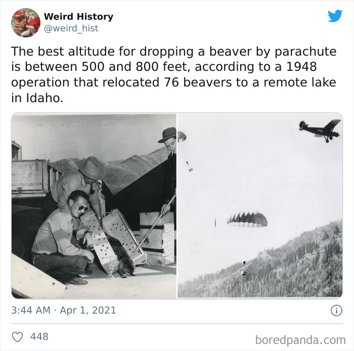 Interesting-Weird-History