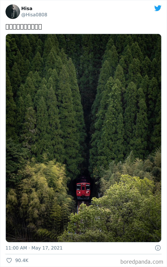 Train Through Woods. Railway In Rural Japan