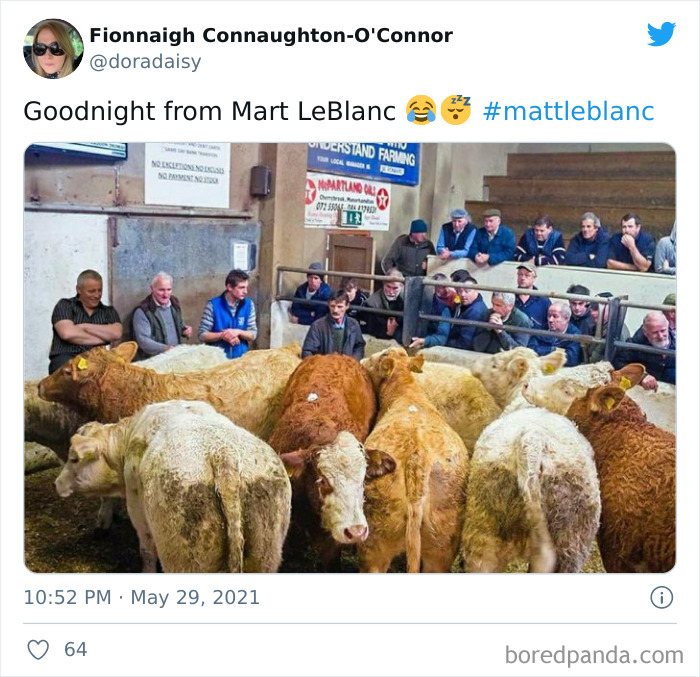 Matt-Leblanc-Irish-Uncle-Memes