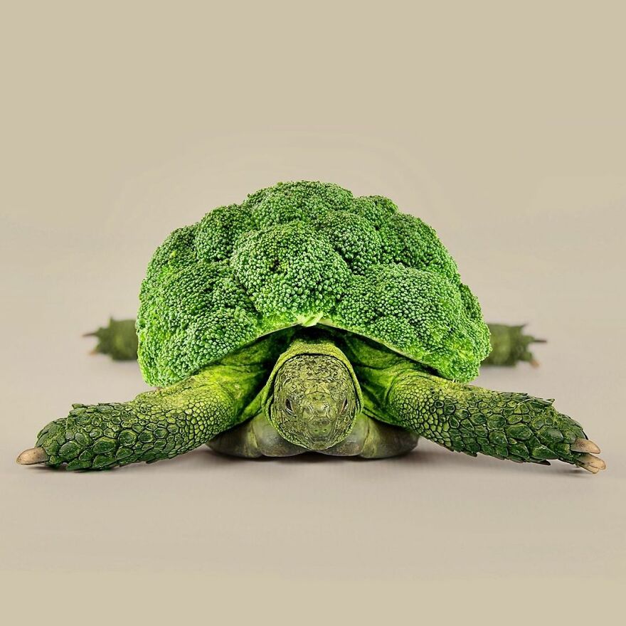 Artist Mixes Animals And Creates The Most Surreal Hybrids You've Ever Seen ( 151 Pics)