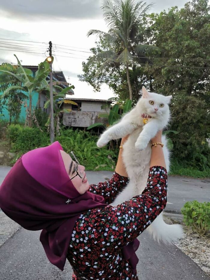 Woman Saved A Wounded Kitten From The Streets And Gave Her A Loving Home