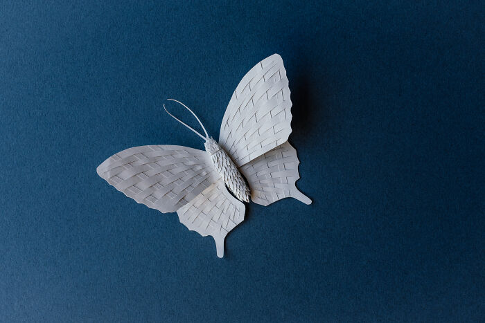Paper Butterfly - First Time Playing With Paper Weaving.