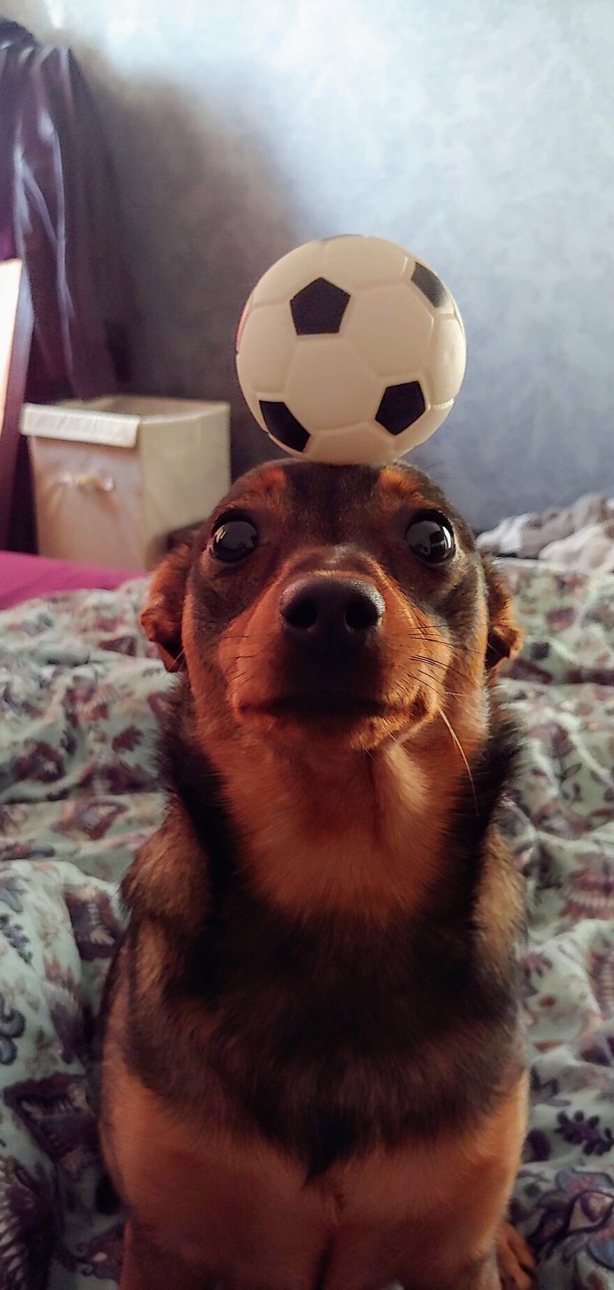 "Must Concentrate, Must Be One With The Ball... Sh*t, I Need To Lick My Butt"