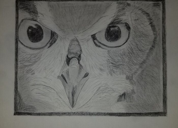 Owl :)