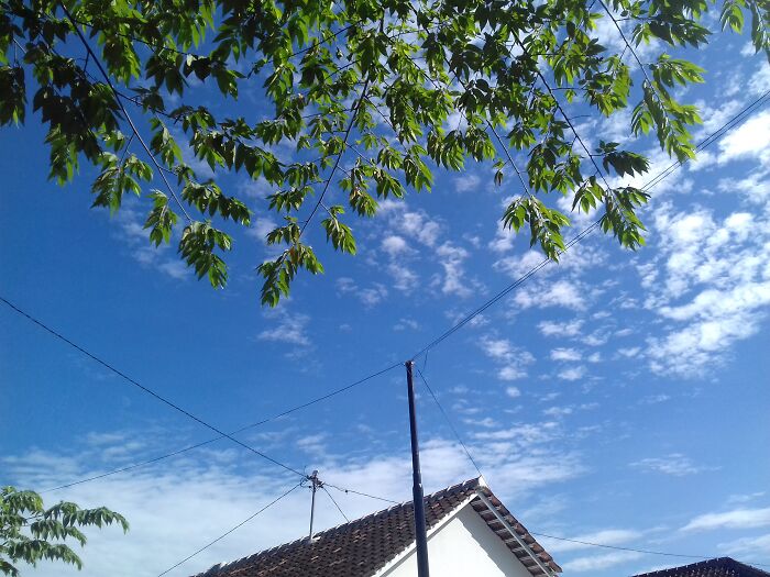 Blue Sky Above The House