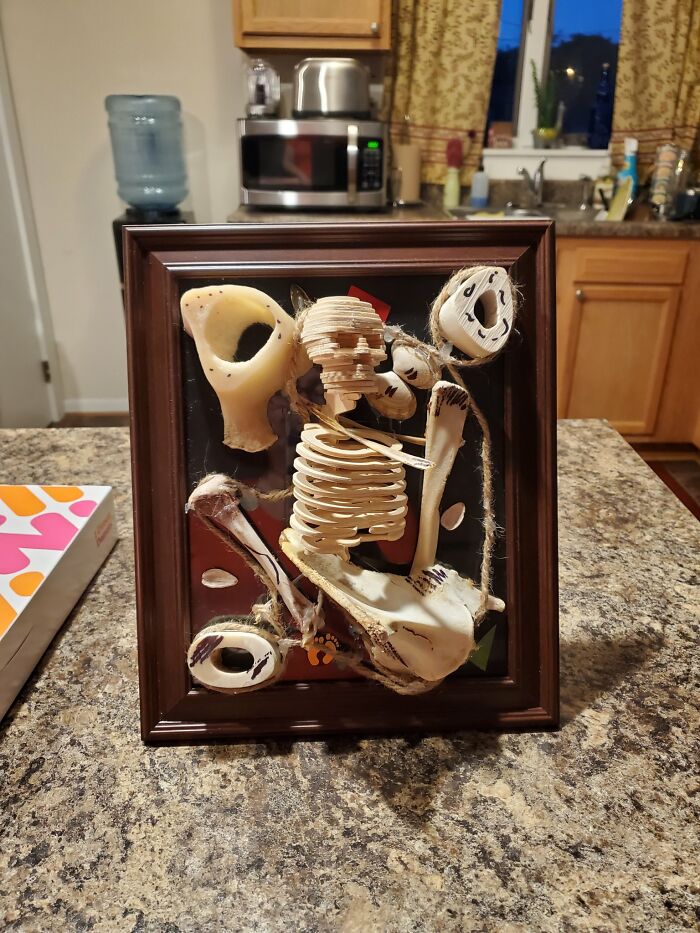 My Husband Likes To Collect Bones, And Gets Creative.