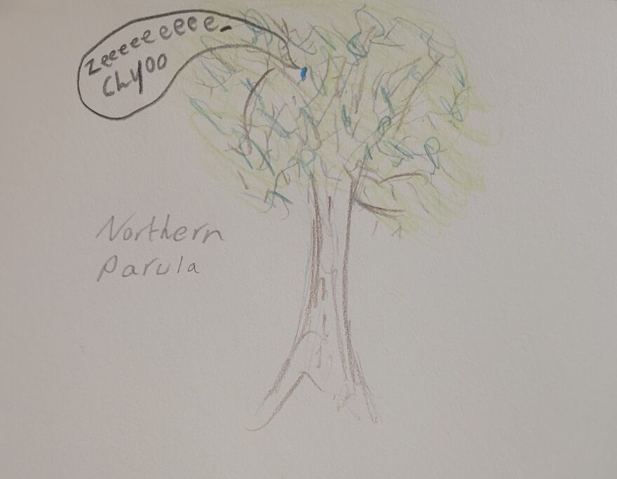 Canon Camera Misfires, So I Drew This Conclusion... Canon Camera Misfires, So I Drew This Conclusion...
