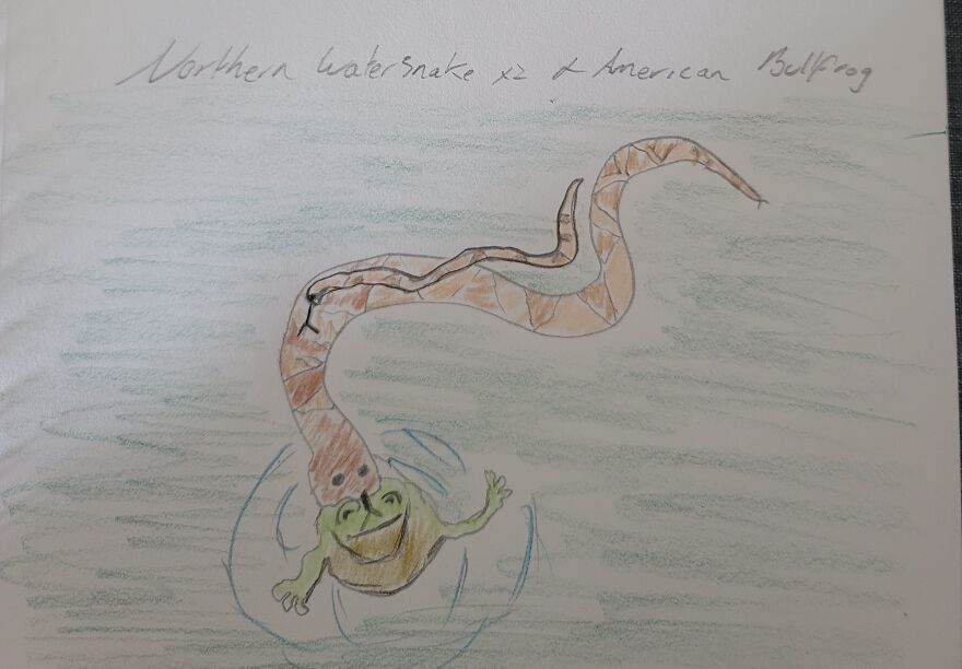 Canon Camera Misfires, So I Drew This Conclusion... Canon Camera Misfires, So I Drew This Conclusion...