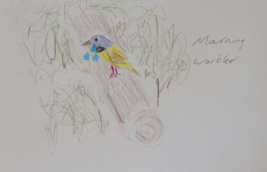 Canon Camera Misfires, So I Drew This Conclusion... Canon Camera Misfires, So I Drew This Conclusion...