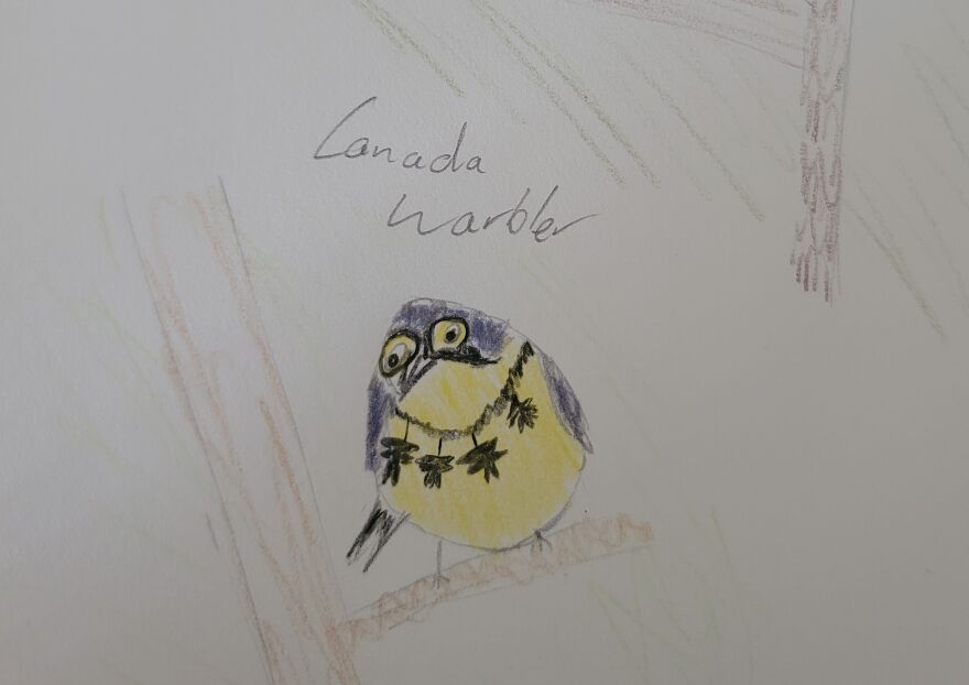 Canon Camera Misfires, So I Drew This Conclusion... Canon Camera Misfires, So I Drew This Conclusion...