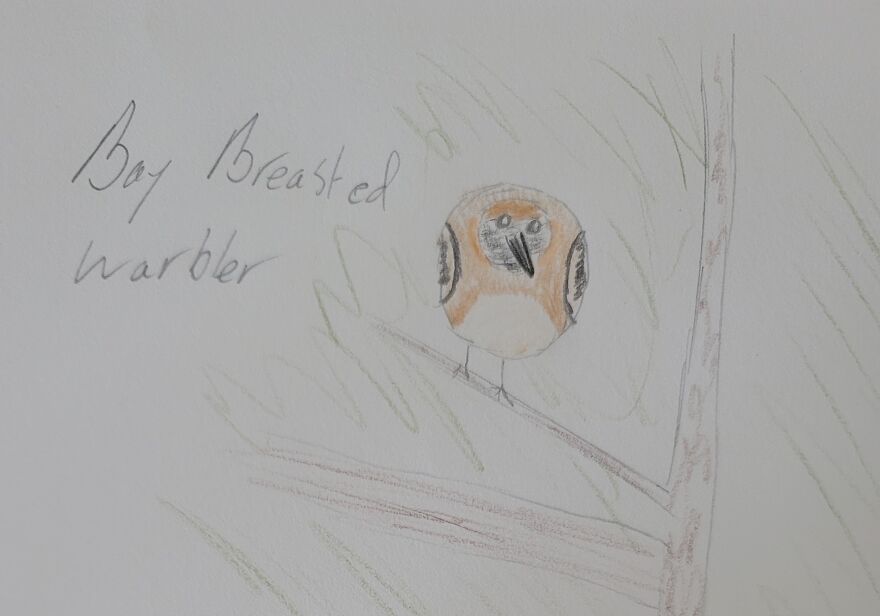 Canon Camera Misfires, So I Drew This Conclusion... Canon Camera Misfires, So I Drew This Conclusion...