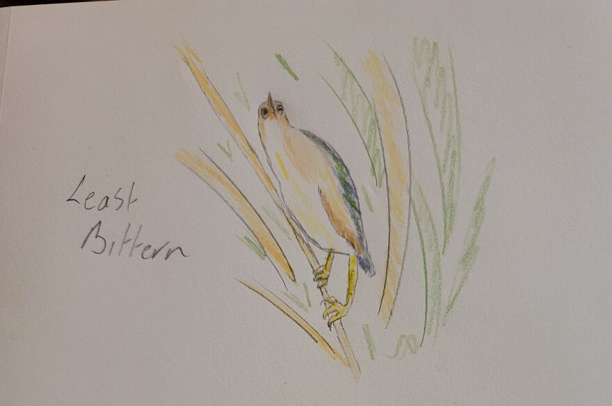 Canon Camera Misfires, So I Drew This Conclusion... Canon Camera Misfires, So I Drew This Conclusion...