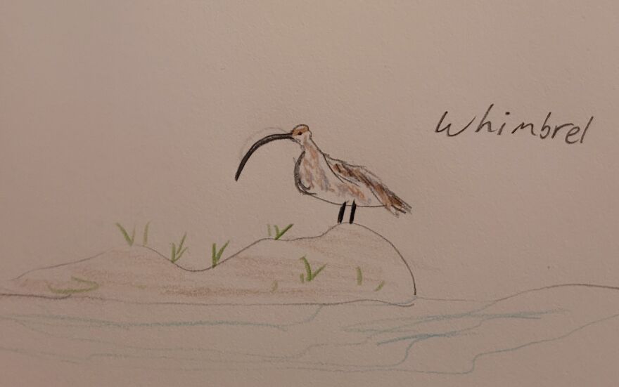 Canon Camera Misfires, So I Drew This Conclusion... Canon Camera Misfires, So I Drew This Conclusion...