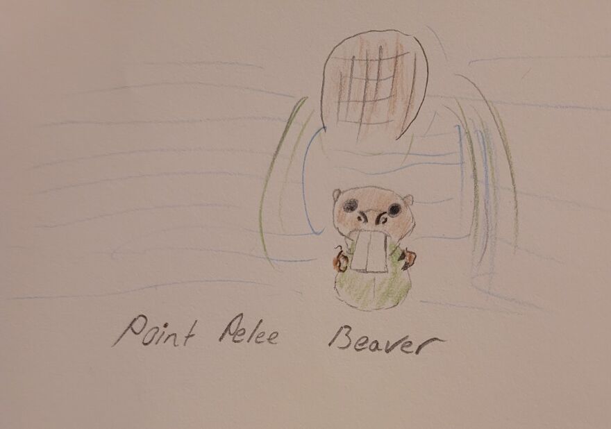 Canon Camera Misfires, So I Drew This Conclusion... Canon Camera Misfires, So I Drew This Conclusion...
