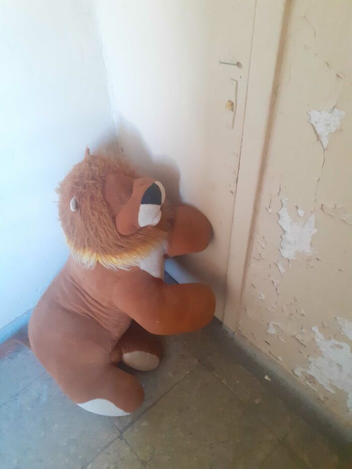 This Eyeless Lion Plushie That's Just Laying There In Our Apartment's Hallway