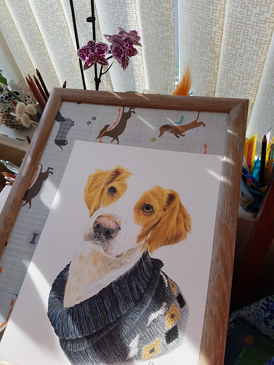 I've Made A Painting Of A Shelter Dog From Spain That Now Lives In Scotland