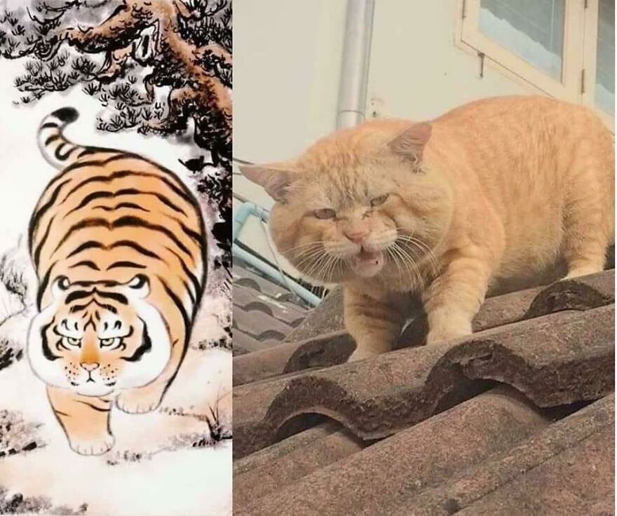 30 Funny Illustration Comics About A Fat Tiger Met A Tiger Cub In Snow, By Chinese Artist Bu2ma 30 Funny Illustration Comics About A Fat Tiger Met A Tiger Cub In Snow, By Chinese Artist Bu2ma