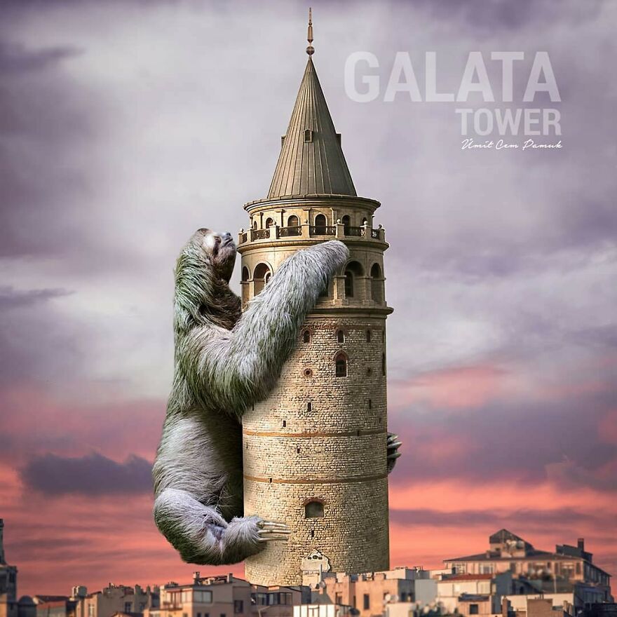 I Make Photo Manipulations Of Famous Cities And Animals