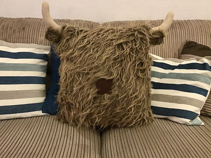 Obviously Everyone Needs A Hellie Cow Cushion