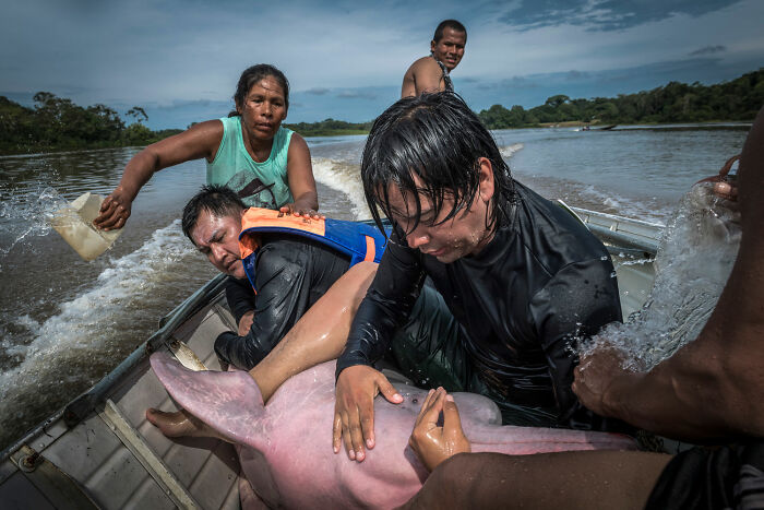 Human/Nature, Finalist: 'Dolphin’s Hug' By Jaime Rojo, Puerto Nariño, Colombia