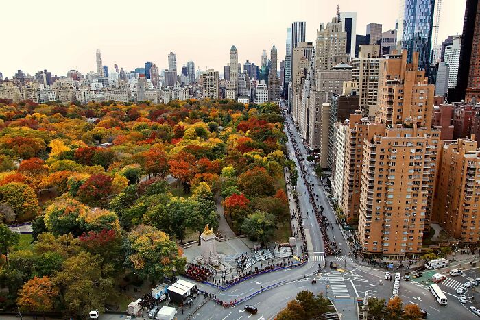 Central Park In Fall, New York
