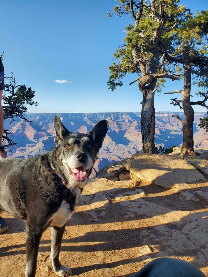 Took My 13 Year Old To The Grand Canyon. Figured I'd Post Her For My Cake Day.