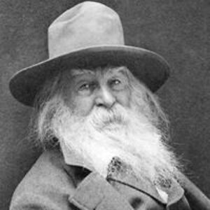 jacek_jankowski avatar