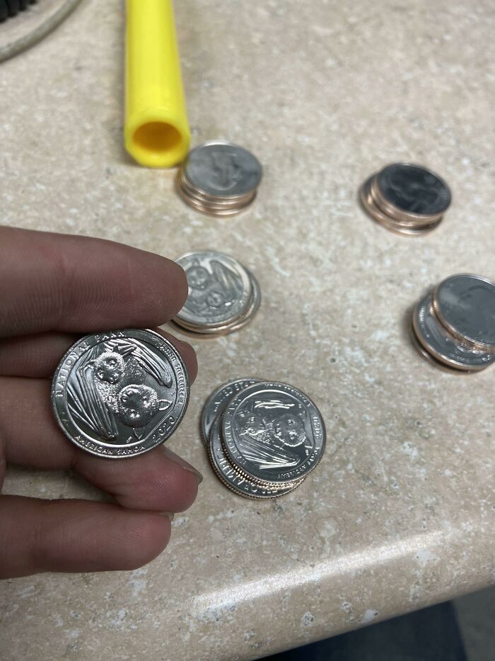 My Work Got A Whole Roll Of The New 2020 “Bat” Quarters