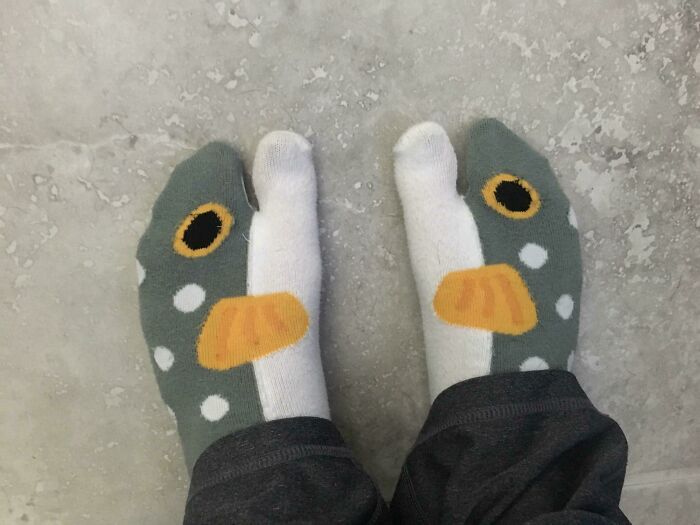 These Fish Socks From Japan