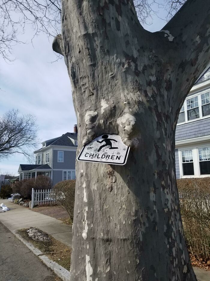 Tree Consuming Children... Sign