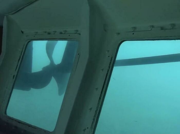 A Visible Propeller From An Underwater Glass-Bottom Boat